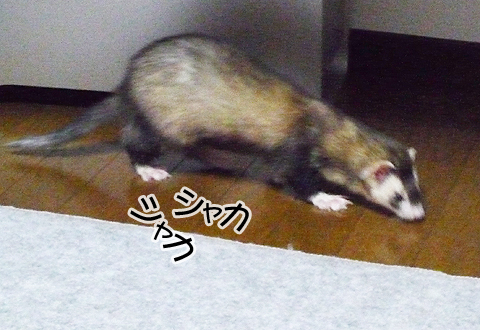 小気味いい音ですね