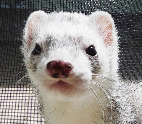 それじゃあ、みんな元気でね。