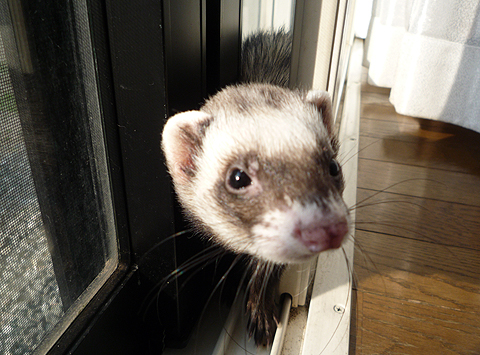 あぁ、狭かった