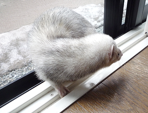 聞いた？ボクのおかげだって