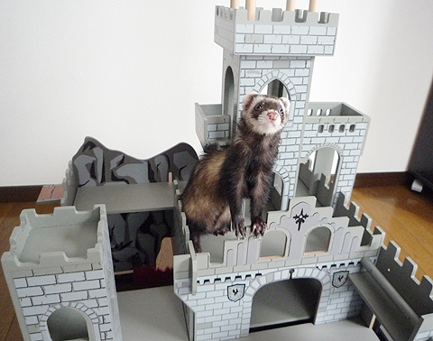 ワタシもチェックです。