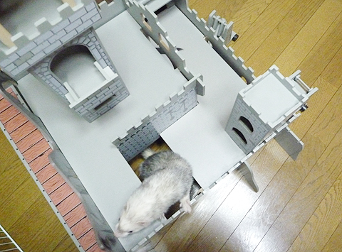 じゃあこっちは？