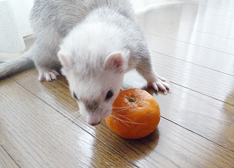 しっかりキープ