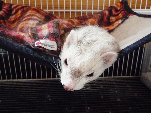 ハルだけいいなぁ…