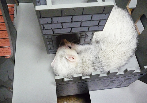 ちょっと狭いね