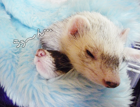 う?ん、く・苦しい…