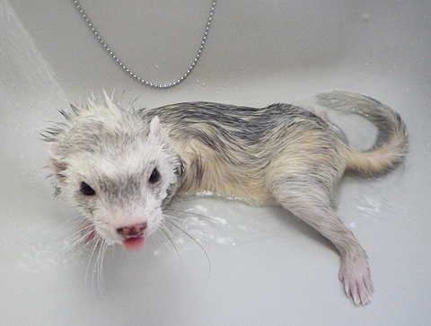 足が、足がぁ?！