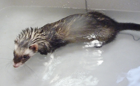 ふぅ?、あったかい