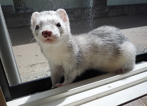 いい天気です。