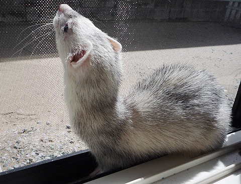 いつになるのかなぁ？