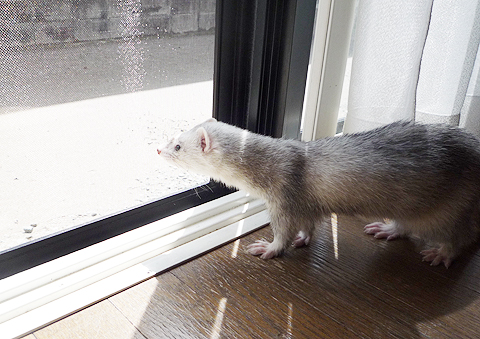 外はどんな世界なの？