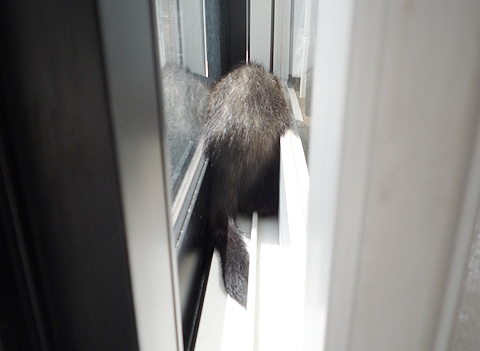 な?んにもないです