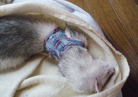 う?、気持ち悪い?。