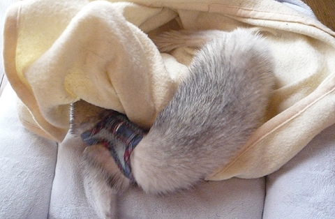 でも、外にも行ってみたい…