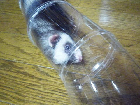 ちょっと眠気が…。