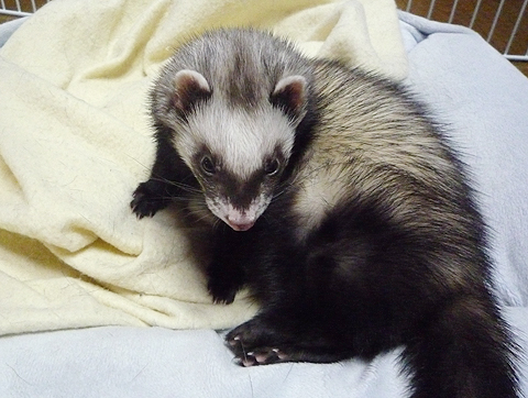 あ?ぁ、よく遊んだ。