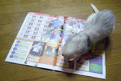 おおっ！テレビジョンだ。