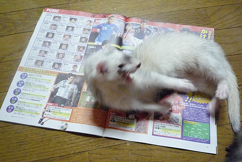 ヒャッホーー！！