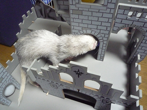 比率から見ても前と同じ大きさです。