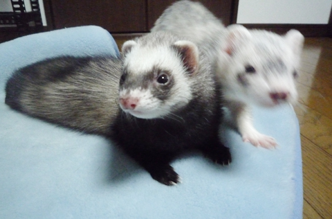 背後に不気味な気配が…