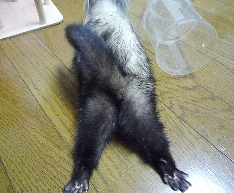 おっと、あぶない