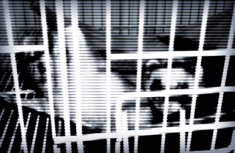 絶対に誰か見てる…