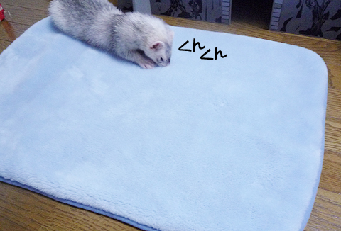 おっ、イイ臭い