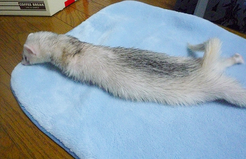 下半身に意識がいってません