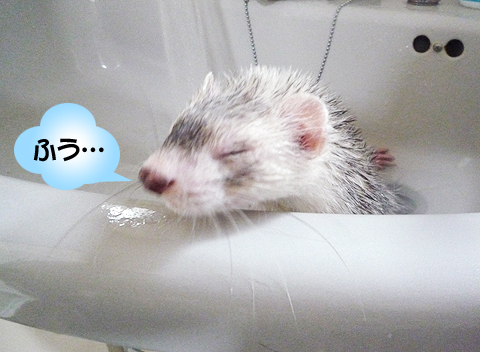 うう、早く終わって?