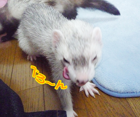 いやー、満足。