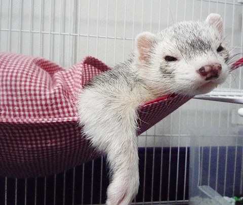 ひたすらダラ?ン