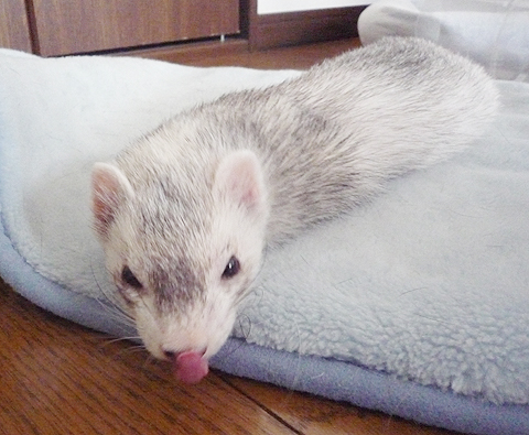 イマイチでしたね