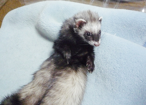 ほ?ら、かわいい。