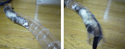 あっちから、こっちから