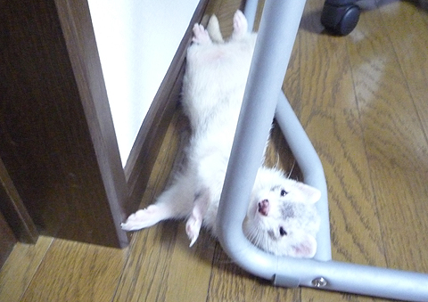 ここ、冷たいよ。