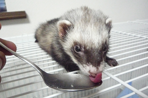 ああ、おいしい。