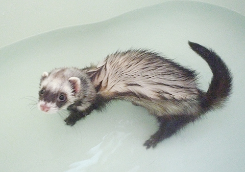 深さが中途半端ですね