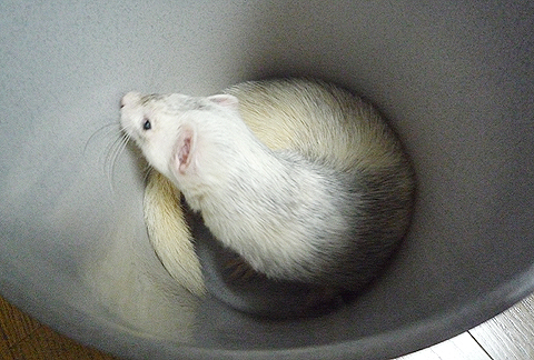 なんかワクワク