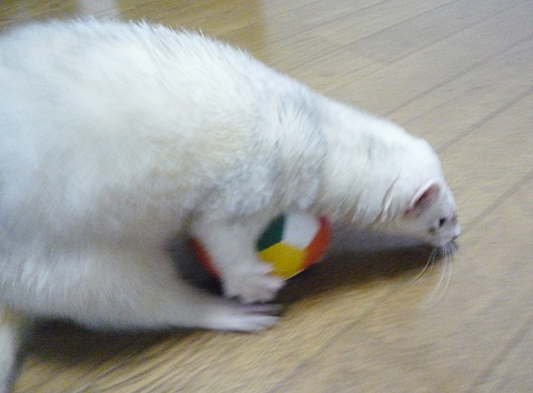 うんせ、うんせ、