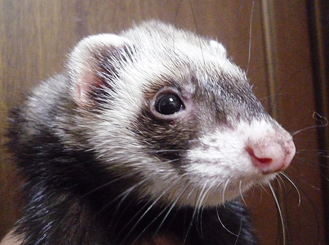 ちょっと斜めア?ップ！！