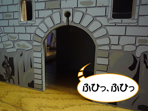 大発見かも?っ!!??