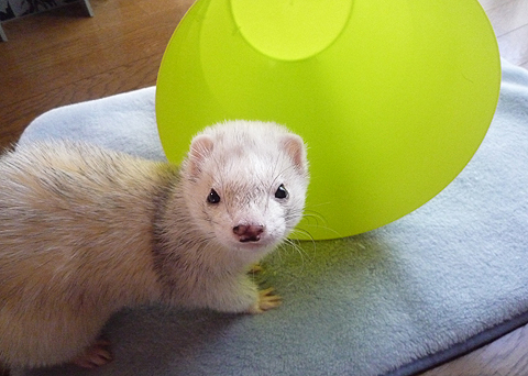 それでは、行きます！