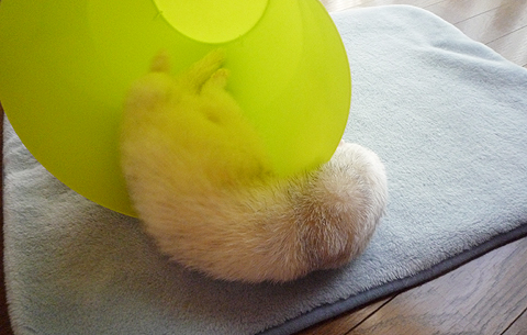 外側もチェック!!