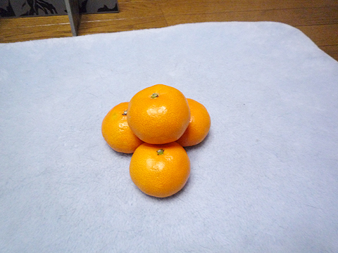 ミカンの山がありますよ?。