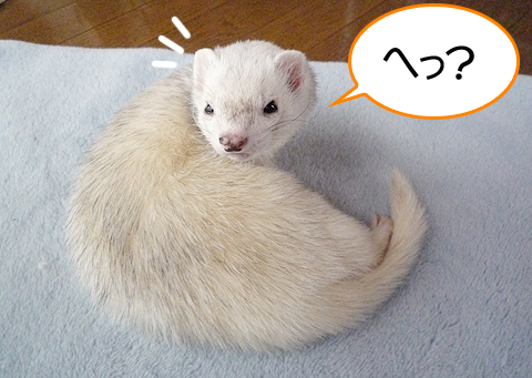 へっ？今、呼んだ？