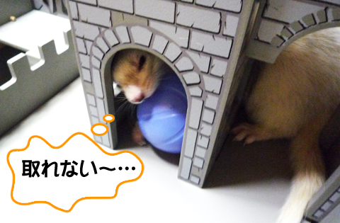 どうしても取れない…