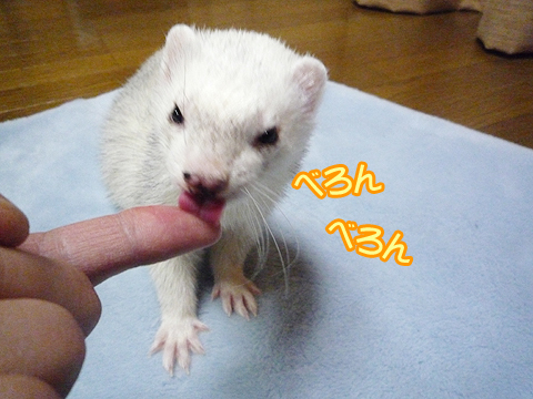 べろん、べろん