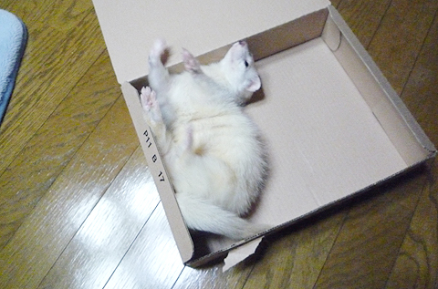 うねうね、すりすり…