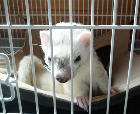 ふぅ?、おさまったぁ