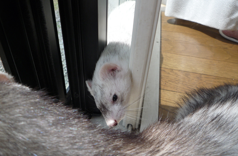 やっぱりちょっと狭い…